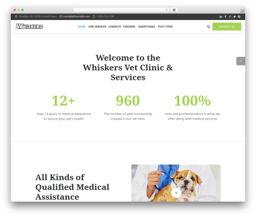 Theme WordPress Whiskers - whiskers.cmsmasters.studio/clinic