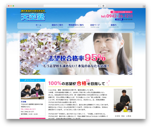 Themify Basic best WordPress theme - tenku-juku.com