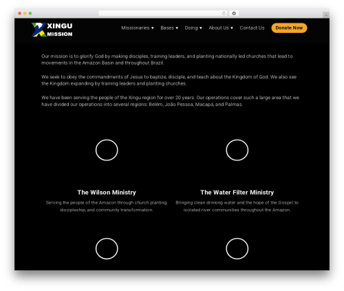 WordPress theme BandsPro - xingu.org
