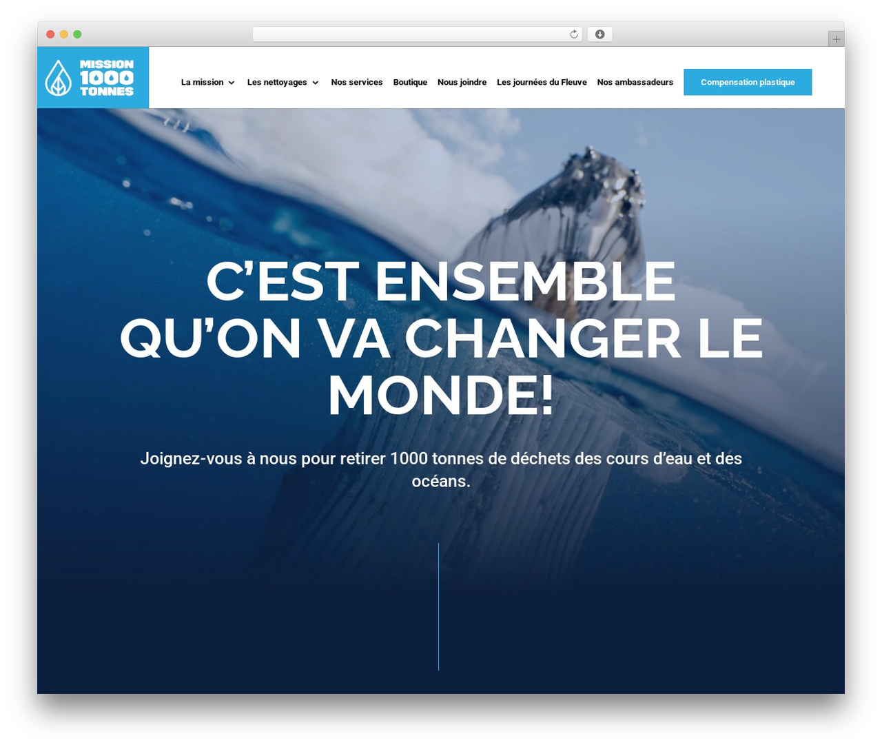 WordPress theme Divi Child - mission1000tonnes.com