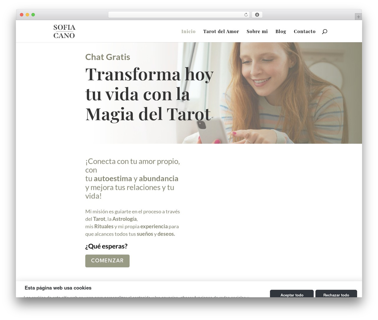 WordPress theme Divi - chat-tarot.net