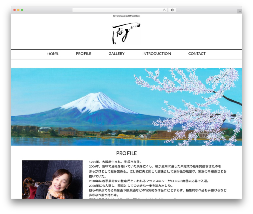 Morph extension system WordPress plugin - kiyomitanaka.com