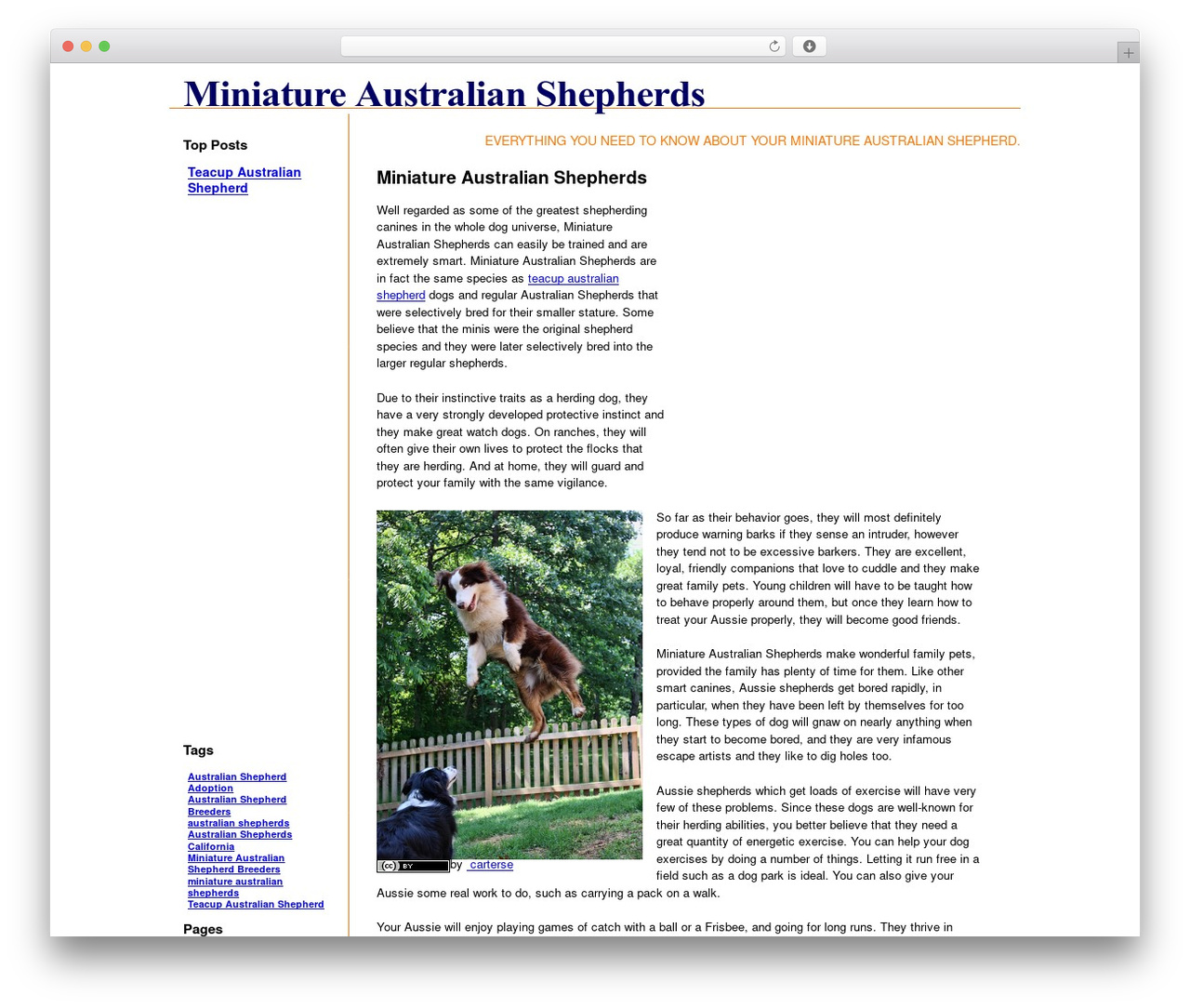 CTR Theme WordPress theme - miniatureaustralianshepherds.org