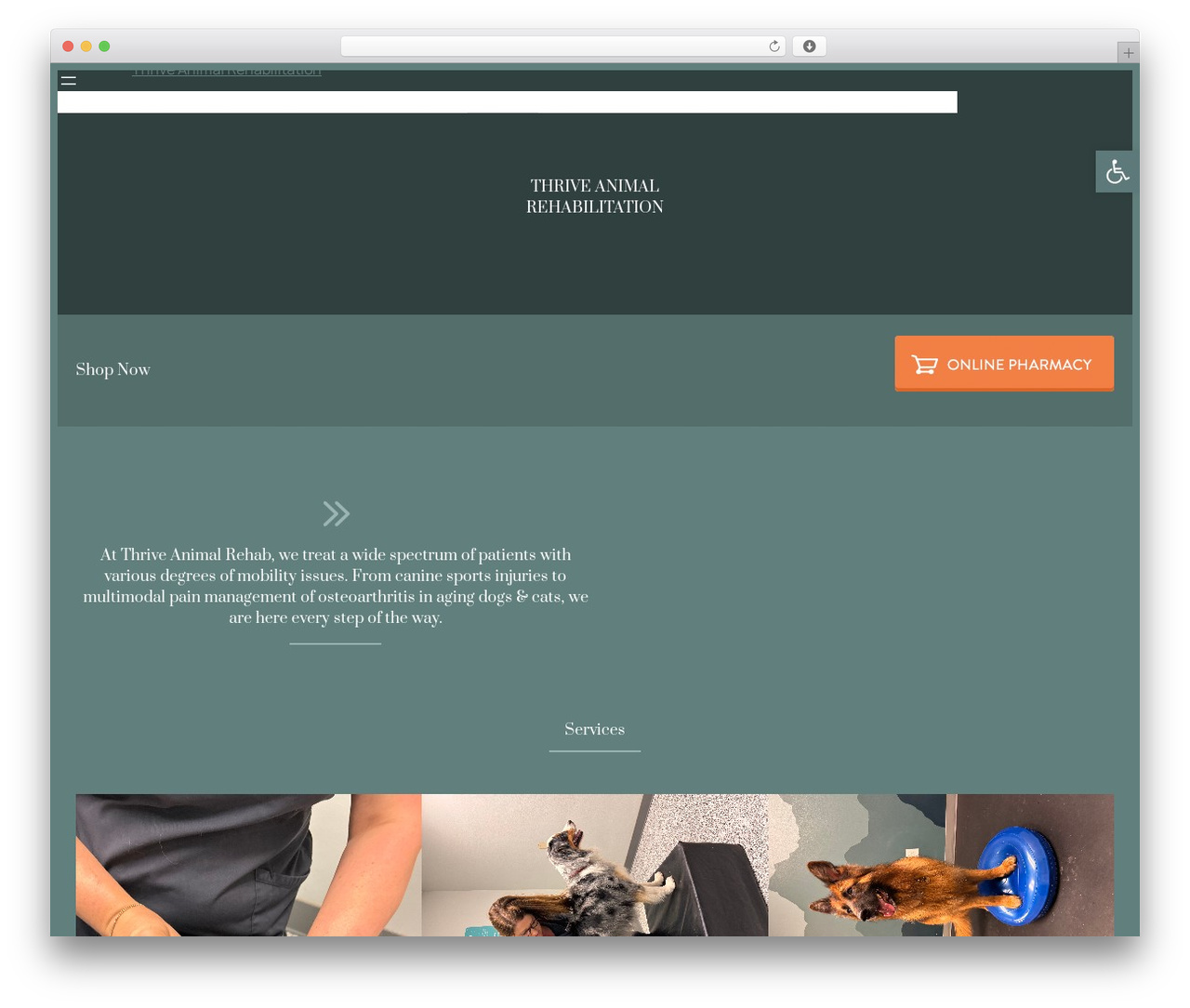 Whimsy WordPress theme - thriveanimalrehab.com