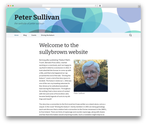 2013 Blue Sequence WordPress theme - sullybrown.com
