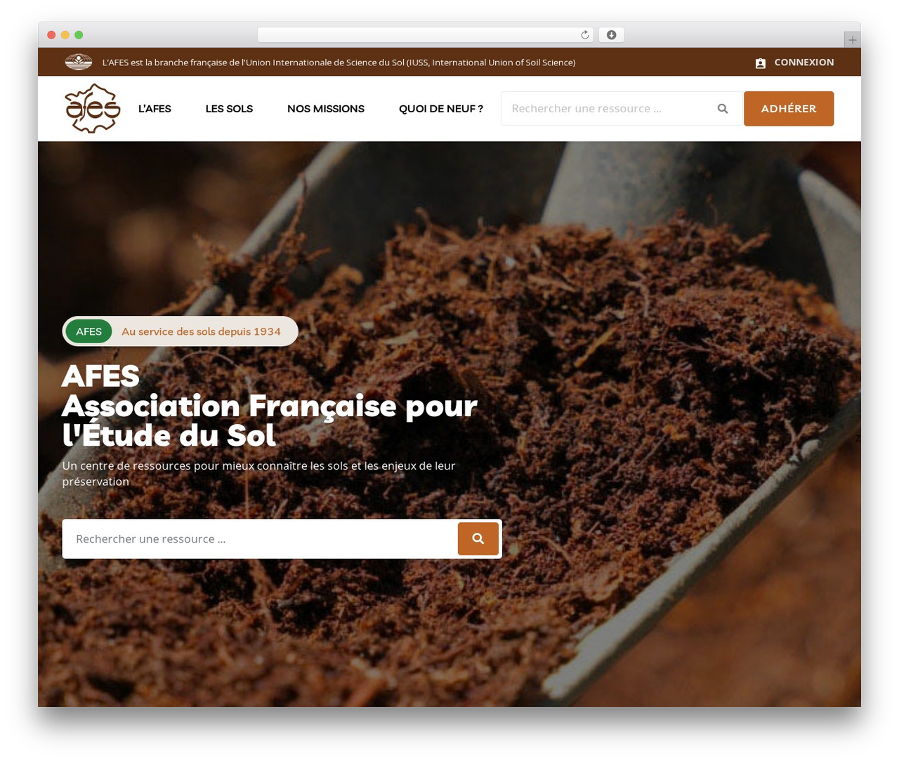 Theme WordPress TheTheme - afes.fr