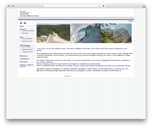 Polyglot_flags WordPress plugin - sudouest-ie.fr
