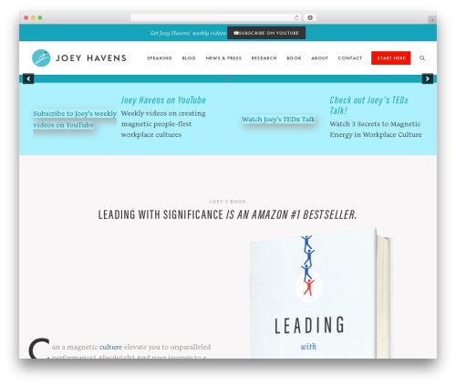 WordPress theme GP Developer Child Theme - joeyhavens.com