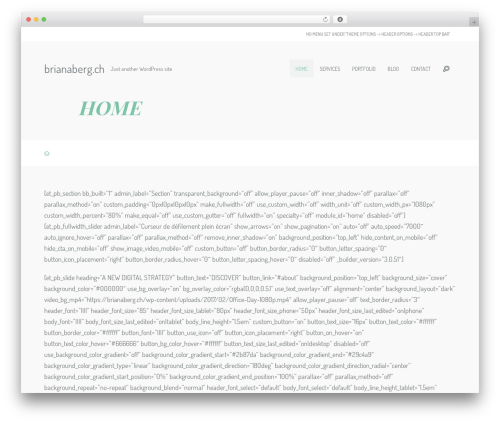 WP theme Freelo - brianaberg.ch