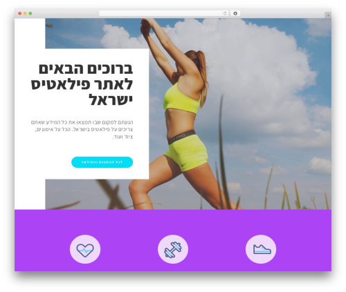 Buzz WordPress theme - studiosunny.co.il