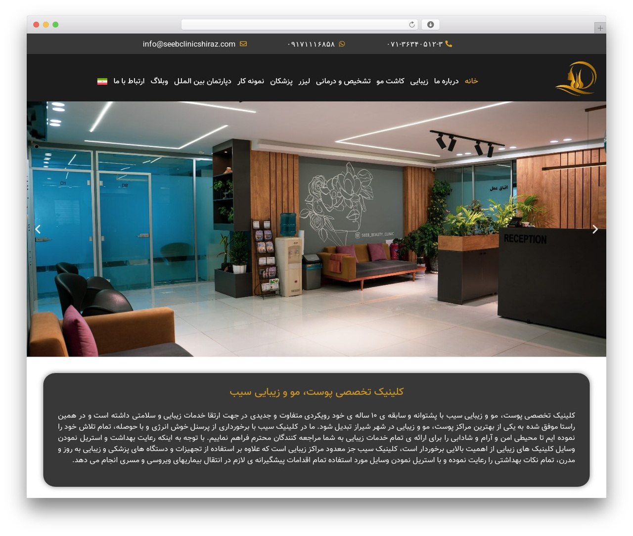 Hello Elementor WordPress theme - seebclinicshiraz.com