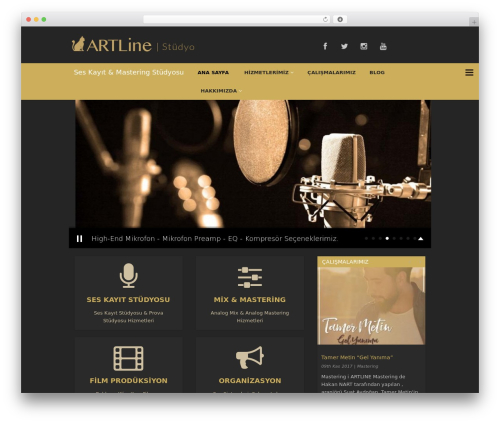 Radykal fancy gallery WordPress plugin - studioartline.com