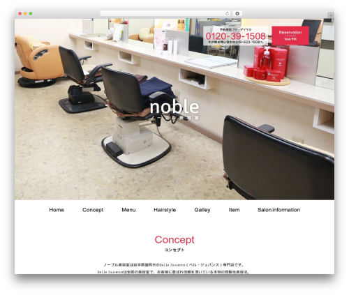 Themify Basic theme WordPress - noblebs.com