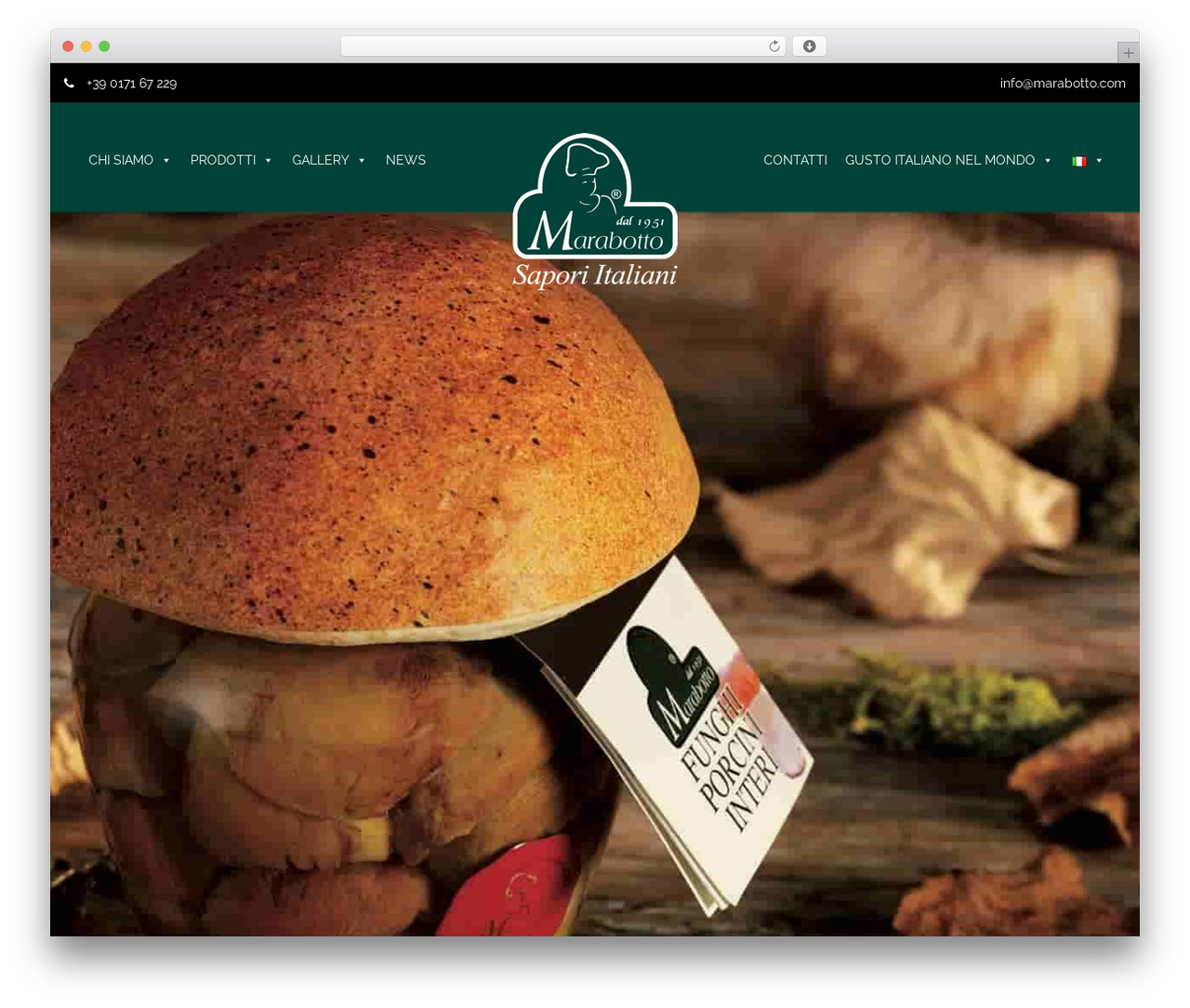 WordPress theme MaxstorePlus - marabotto.com WordPress theme MaxstorePlus - marabotto.com