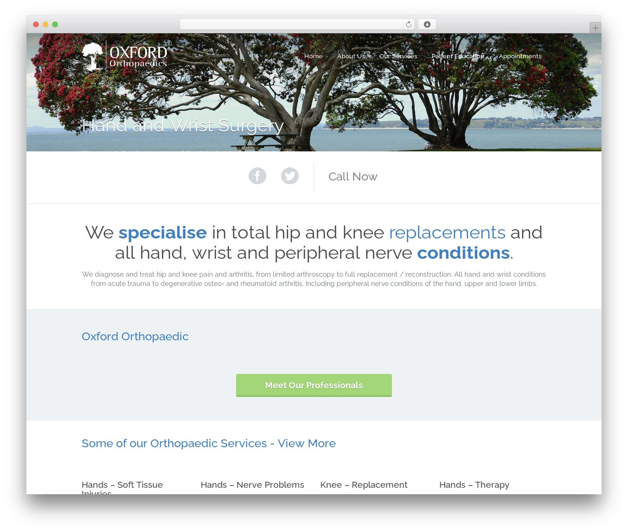 Paeon WordPress theme - oxfordorthopaedics.co.nz Paeon WordPress theme - oxfordorthopaedics.co.nz