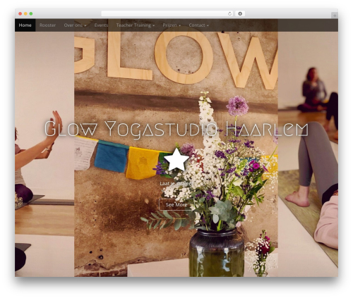 Gallery video WordPress plugin - glowyogastudio.nl