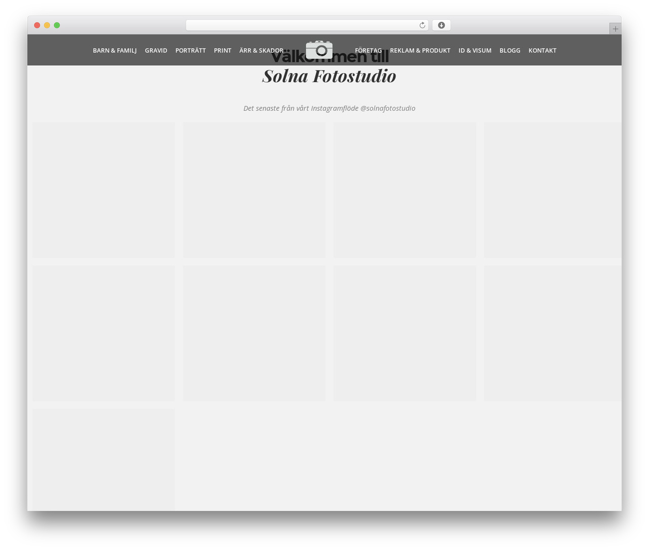WP theme DFD Native - solnafotostudio.se