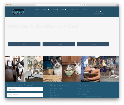 Accordion Toggle (accordion-toggle) free WordPress plugin - catcafebk.com