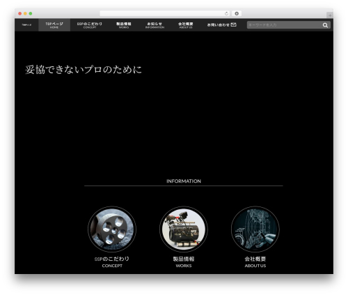 SSP WordPress theme - ssp-pro.com