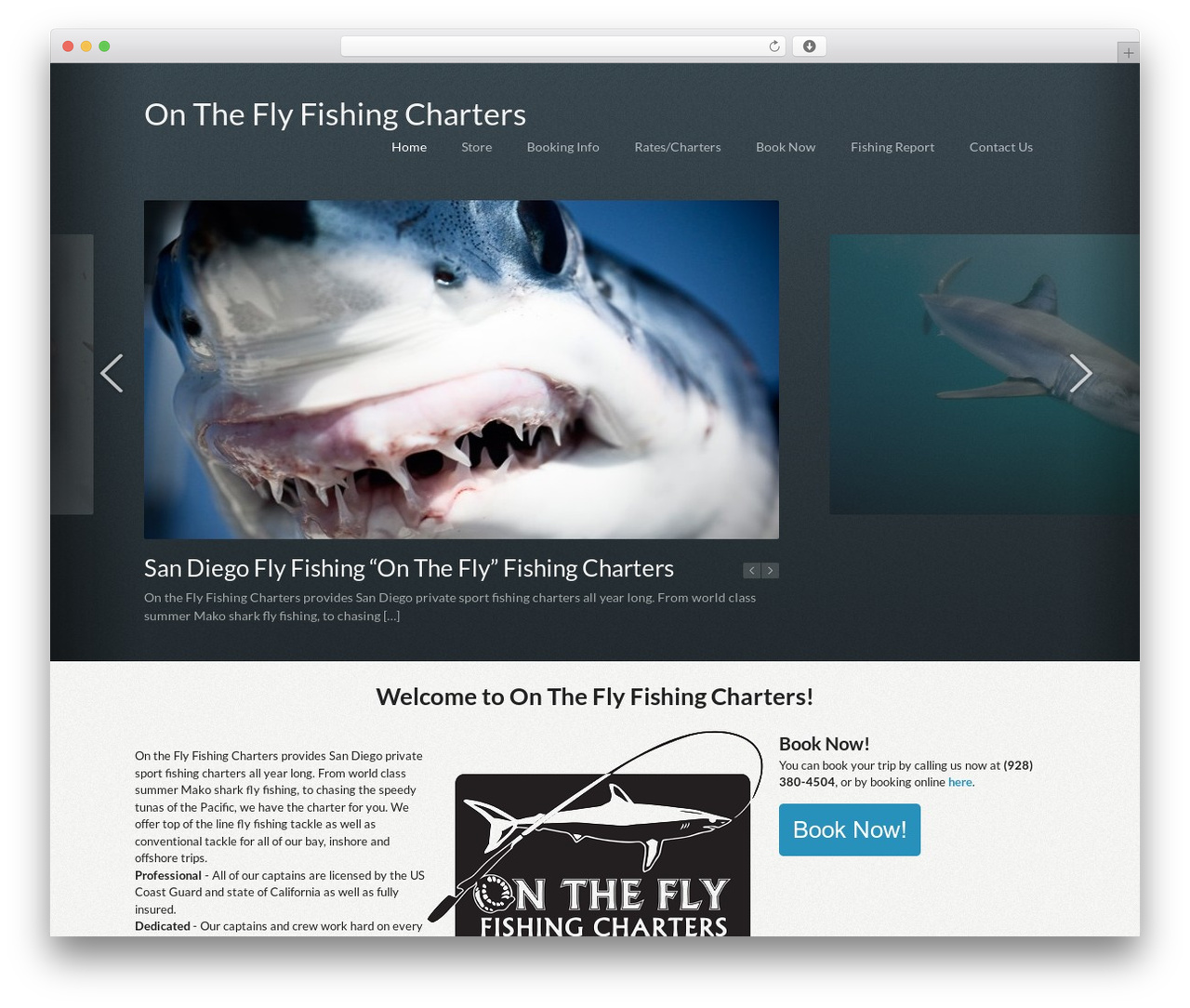 Theme WordPress Elastik - ontheflyfishingcharter.com
