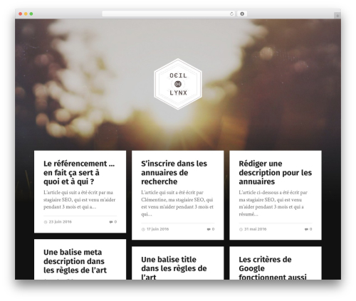 Garfunkel WordPress Theme Download By Anders Nor - Oeil-De-Lynx.Com