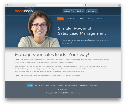 Open WordPress theme - openleads.com