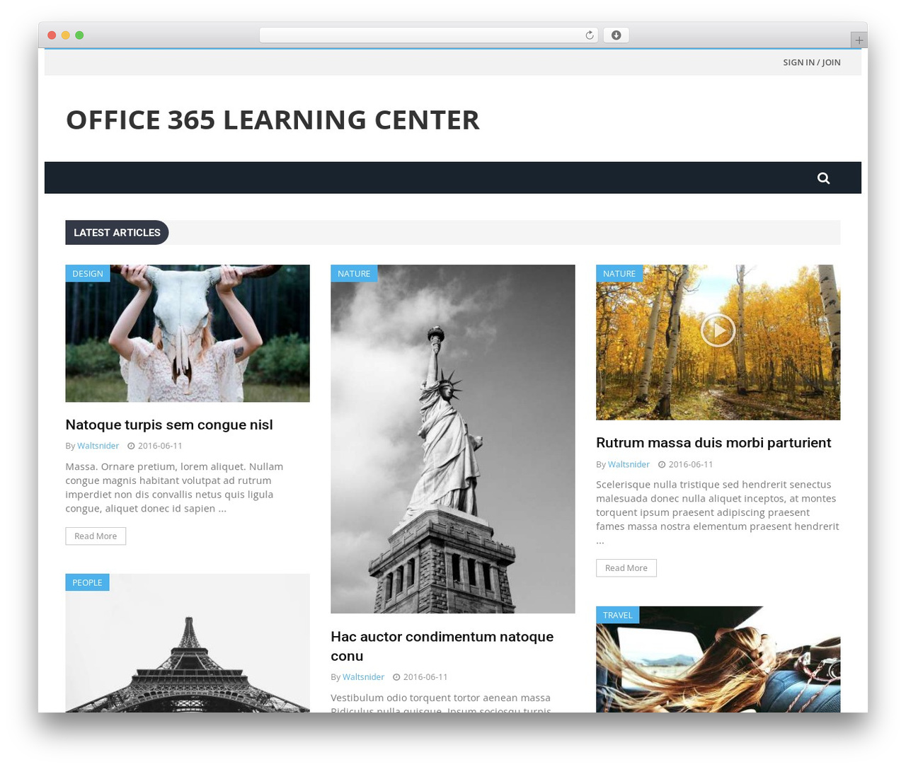 WordPress theme Shadowcat - office365learningcenter.com