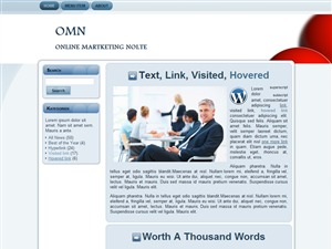OMN WordPress theme