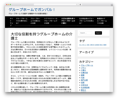Stp Accessibility WordPress theme - mellstroy.info