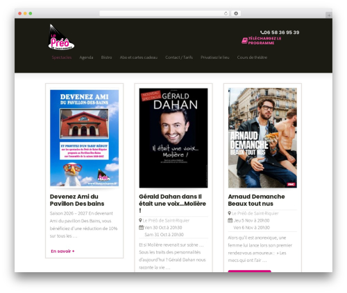 Striking MultiFlex & Ecommerce Responsive WordPress Theme top WordPress theme - theatrelepreo.fr