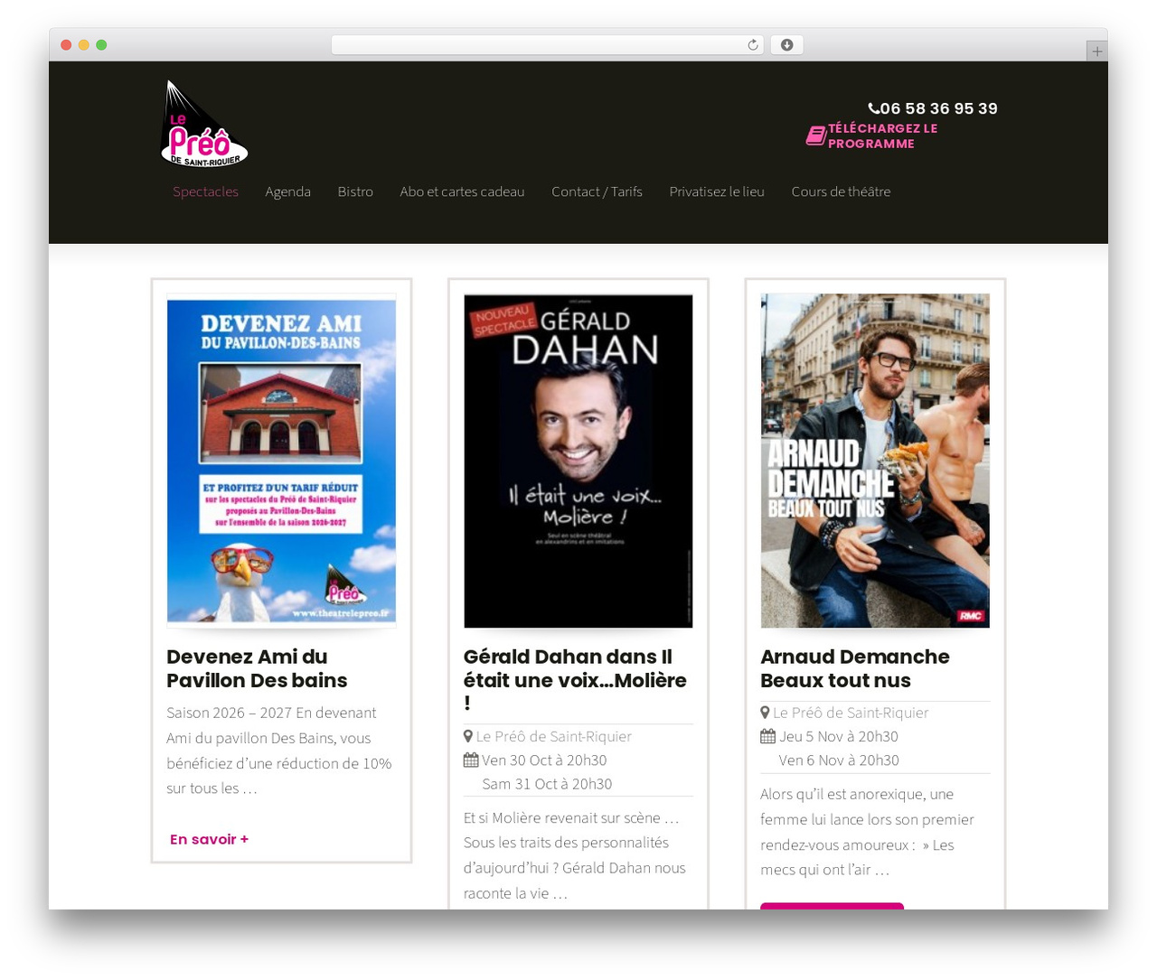 Striking MultiFlex & Ecommerce Responsive WordPress Theme top WordPress theme - theatrelepreo.fr