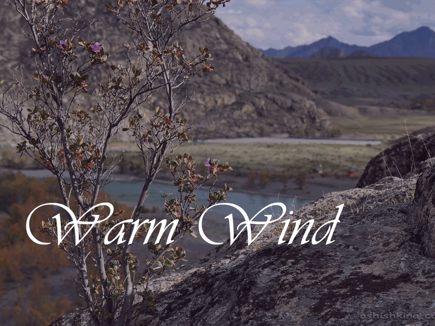 Warm Wind WP theme