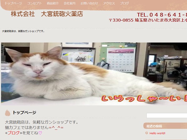 WordPress theme ㈱大宮銃砲火薬店 WordPress theme ㈱大宮銃砲火薬店