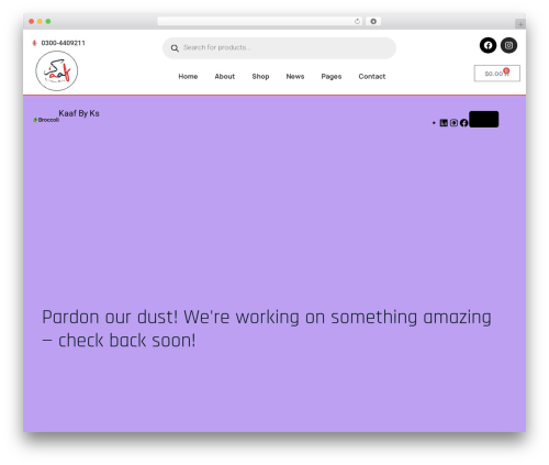 WordPress theme Broccoli - kaafbyks.com