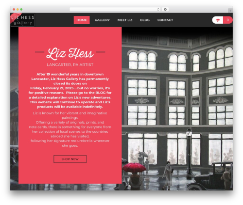 Woopack WordPress plugin - lizhess.com