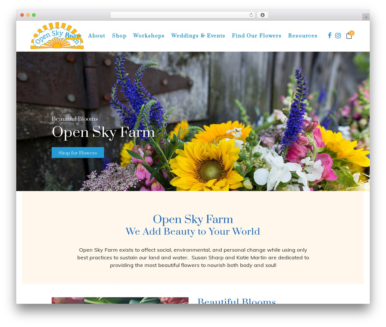 Bridge Child theme WordPress - openskyorganicfarm.com