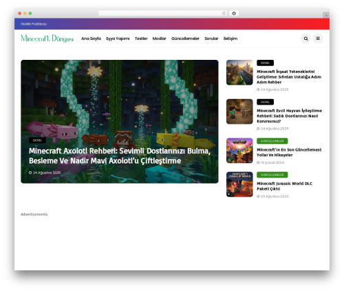 Disto theme WordPress - minecraftdunyasi.com