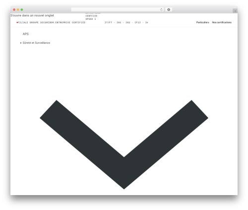 Nextbricks WordPress plugin - apsfrance.fr