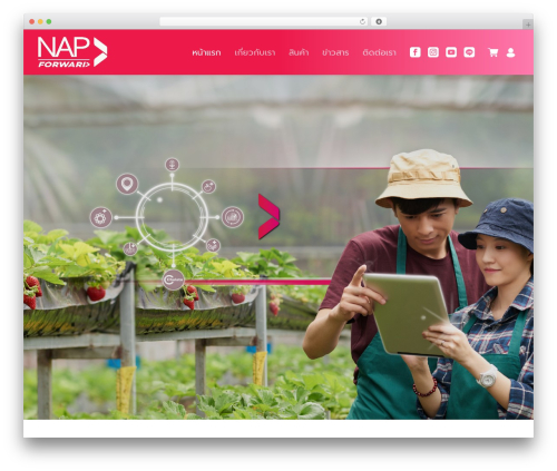 Wpdt wc payment WordPress plugin - napforward.com