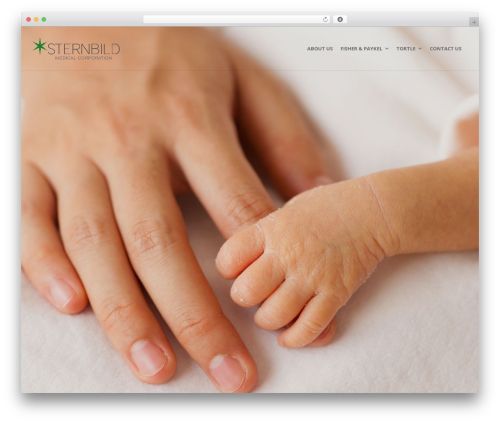 Create WordPress website theme - sternbildinc.com