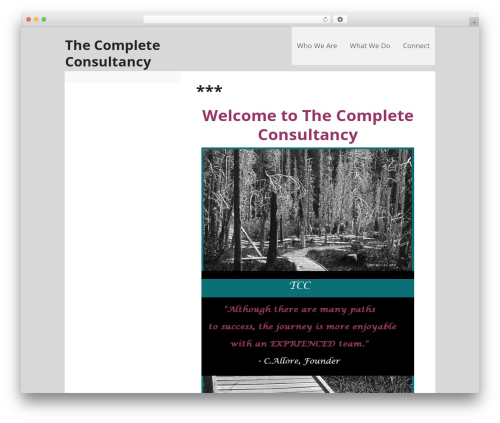 Executive Pro Theme best WordPress theme - thecompleteconsultancy.com