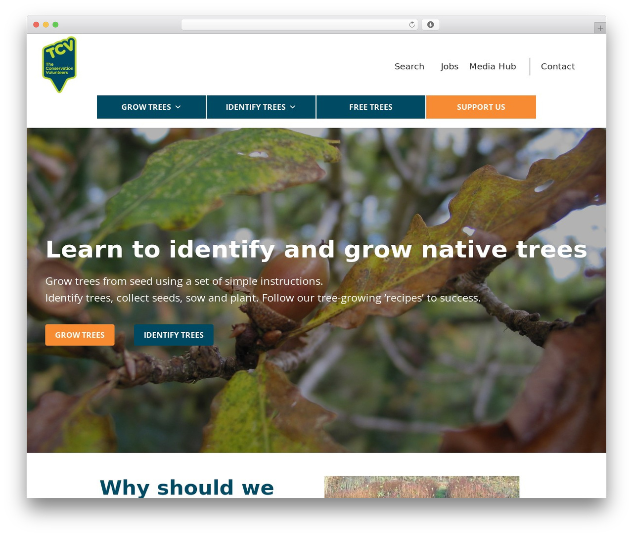Genesis WordPress theme - treegrowing.tcv.org.uk Genesis WordPress theme - treegrowing.tcv.org.uk