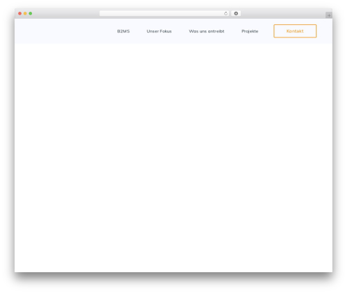 StartFlow best WordPress theme - b2ms.de