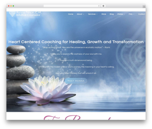 Theme WordPress Course Maker Pro - ronnaprince.com