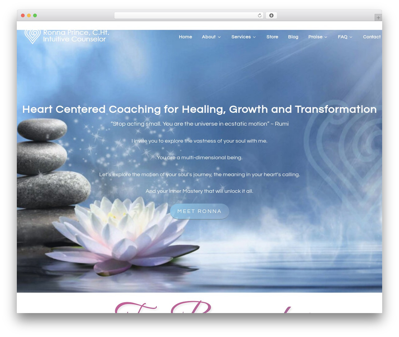 Theme WordPress Course Maker Pro - ronnaprince.com