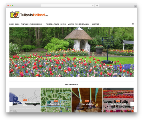 Reduce Bounce Rate (reduce-bounce-rate) free WordPress plugin - tulipsinholland.com