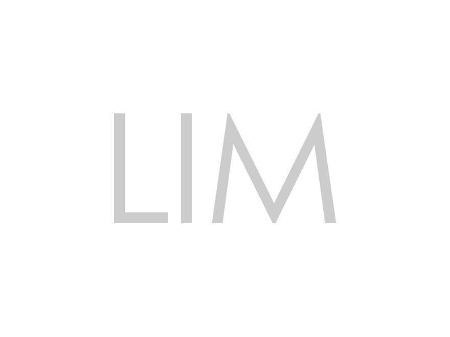Theme WordPress LIM Theme WordPress LIM