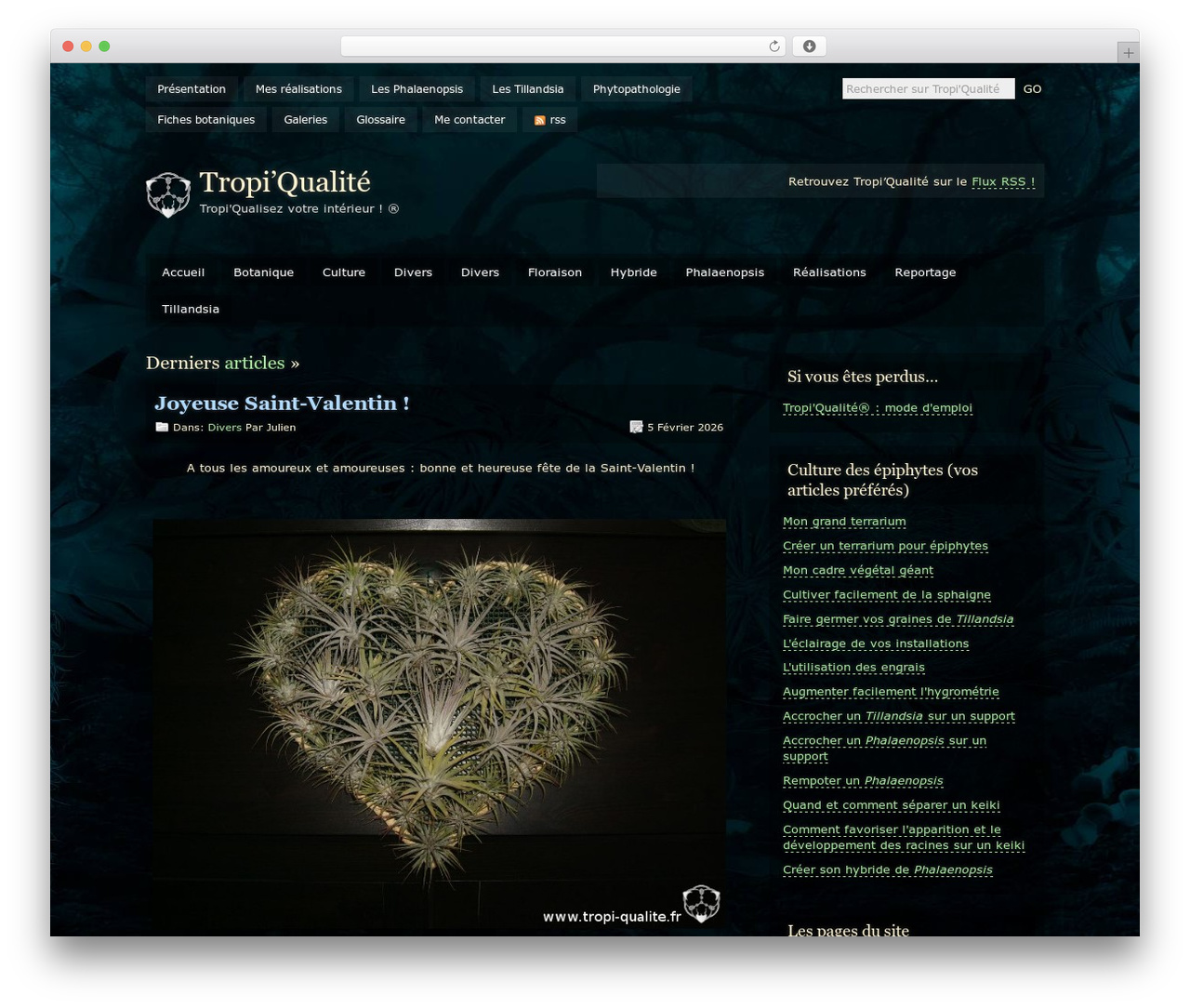 Theme WordPress Motion - tropi-qualite.fr Theme WordPress Motion - tropi-qualite.fr
