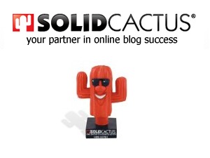 WordPress website theme Solid Cactus WordPress website theme Solid Cactus