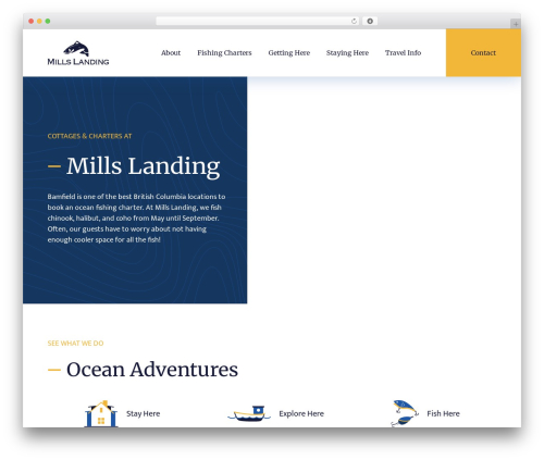 Array Blank Theme WordPress theme design - millslanding.com